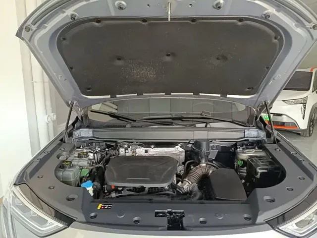 Haval Xiaolong MAX — Фото автомобиля 19