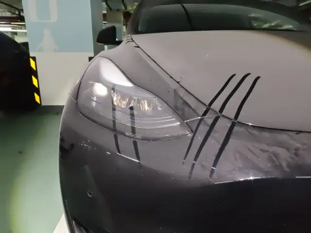 Tesla Model Y — Фото автомобиля 7