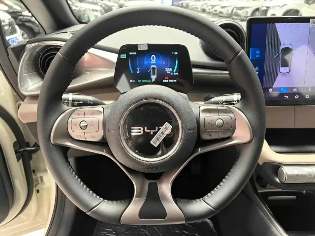 BYD Dolphin — Фото автомобиля 8