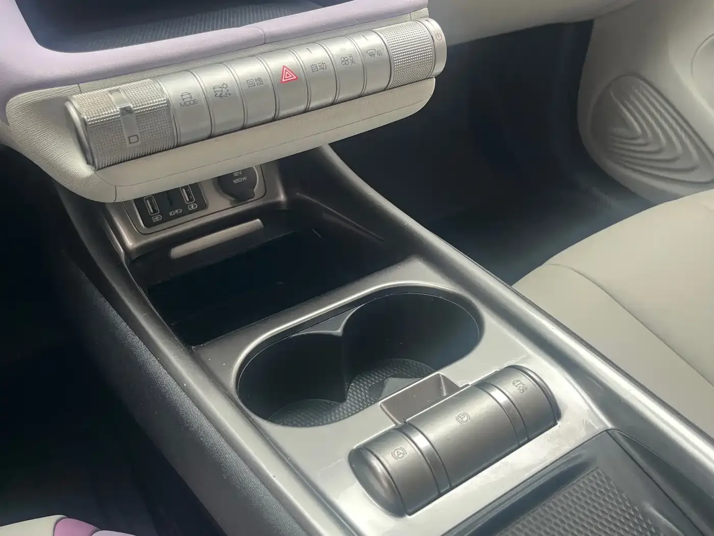BYD Dolphin 2021 401km Knight Edition — Фото автомобиля 13