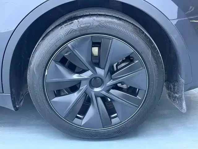 Tesla Model Y — Фото автомобиля 16