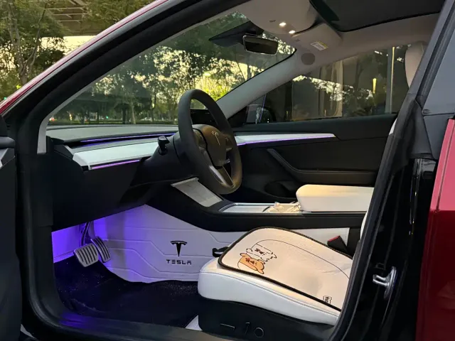 Tesla Model 3 — Фото автомобиля 10