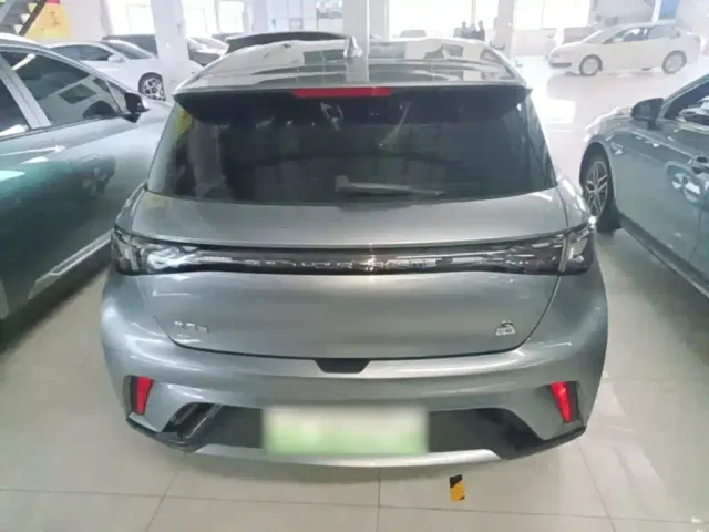 BYD Dolphin — Фото автомобиля 5