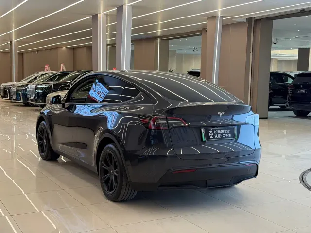 Tesla Model Y — Фото автомобиля 4