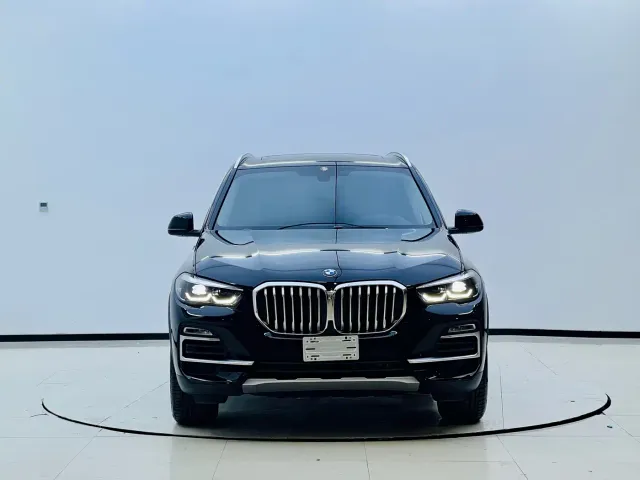 BMW X5 New Energy(Imported) — Фото автомобиля 2