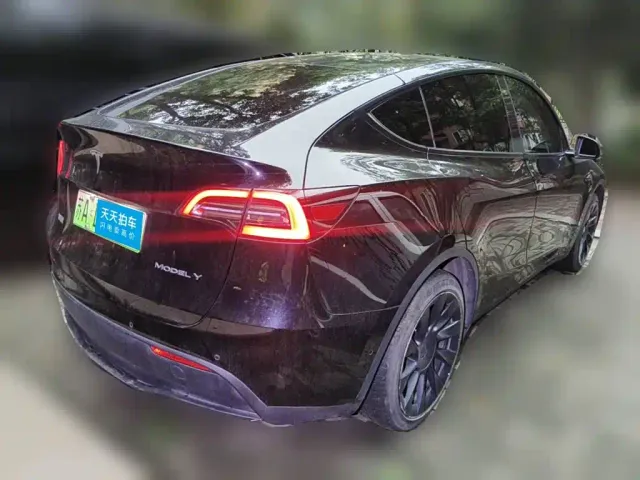 Tesla Model Y 2022 Rear-Wheel Drive Version — Фото автомобиля 2