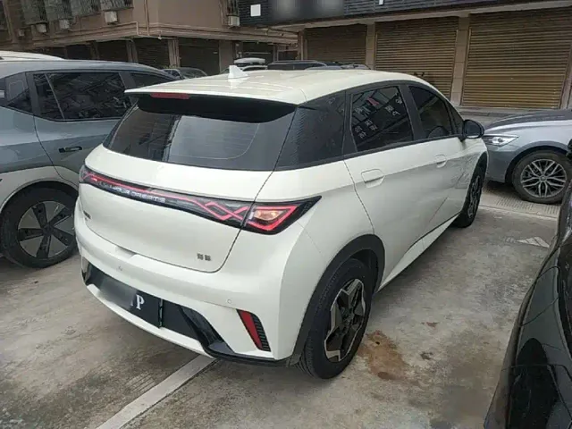 BYD Dolphin — Фото автомобиля 6