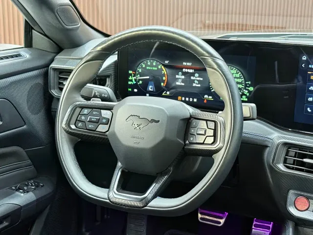 Ford Mustang — Фото автомобиля 20