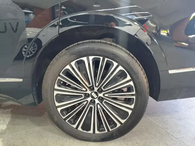 Geely Galaxy M9 — Фото автомобиля 16