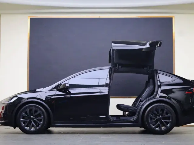 Tesla Model X — Фото автомобиля 19