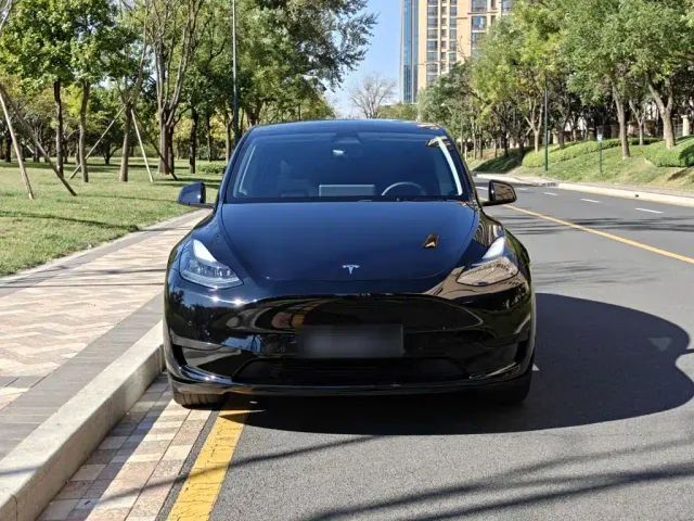 Tesla Model Y — Фото автомобиля 2