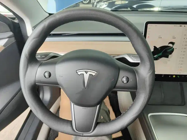 Tesla Model 3 — Фото автомобиля 10