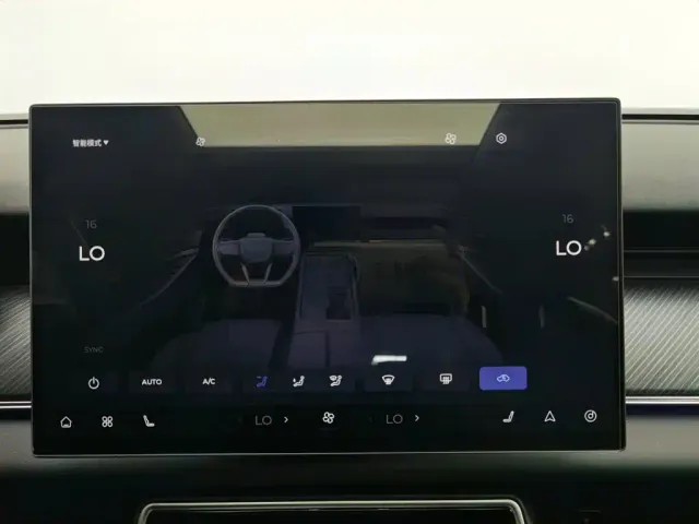 Chery Fulwin T9 — Фото автомобиля 12
