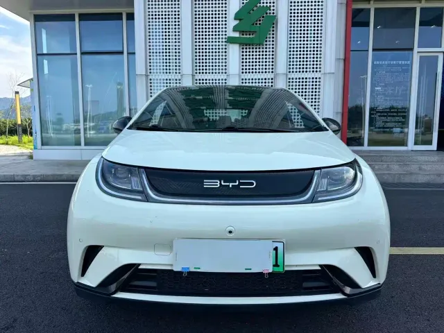 BYD Dolphin — Фото автомобиля 21