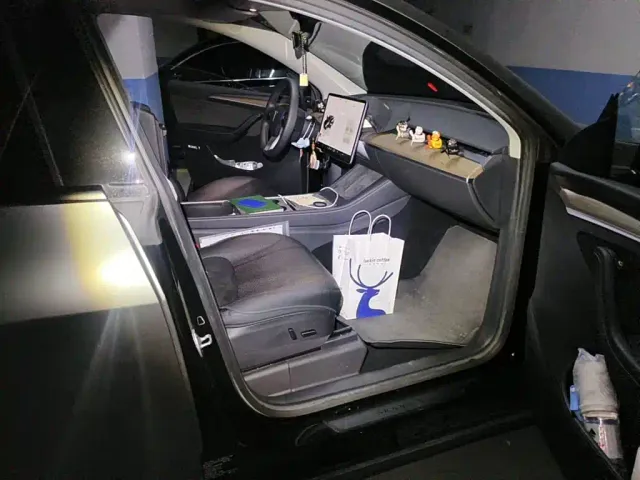 Tesla Model Y — Фото автомобиля 13