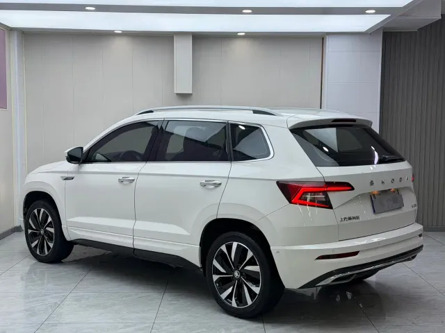 Skoda Karoq — Фото автомобиля 6