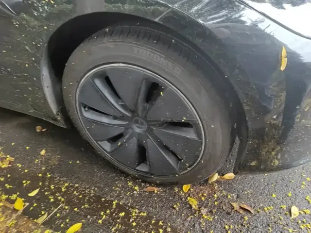 Tesla Model 3 — Фото автомобиля 25