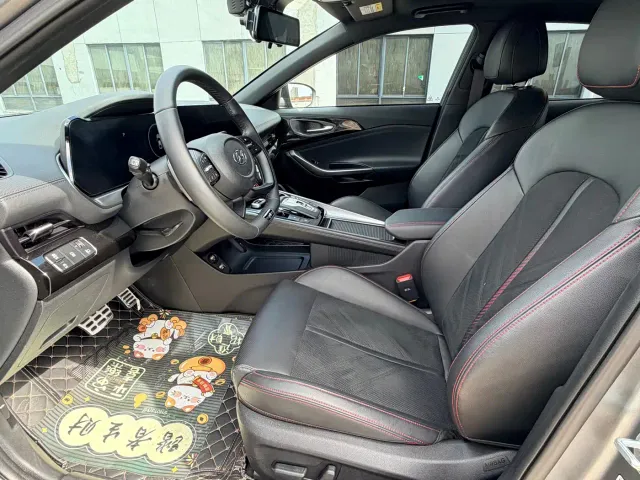 Hyundai Fista — Фото автомобиля 7
