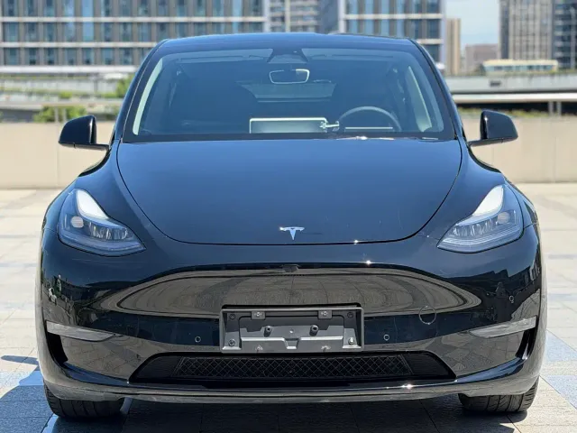 Tesla Model Y — Фото автомобиля 2
