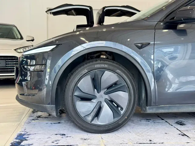 Tesla Model Y 2025 Rear-Wheel Drive — Фото автомобиля 16
