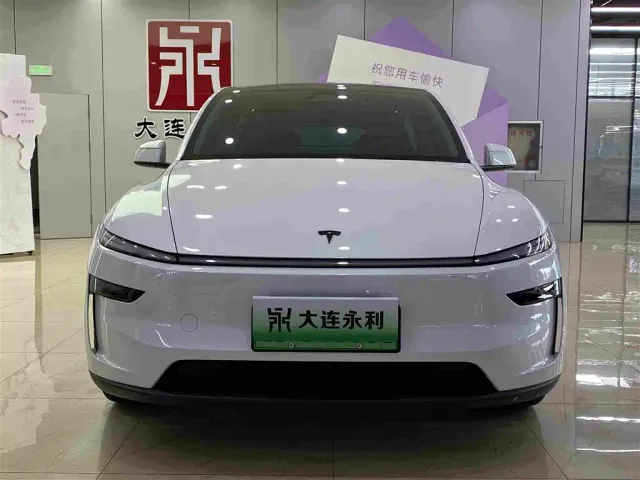 Tesla Model Y — Фото автомобиля 2