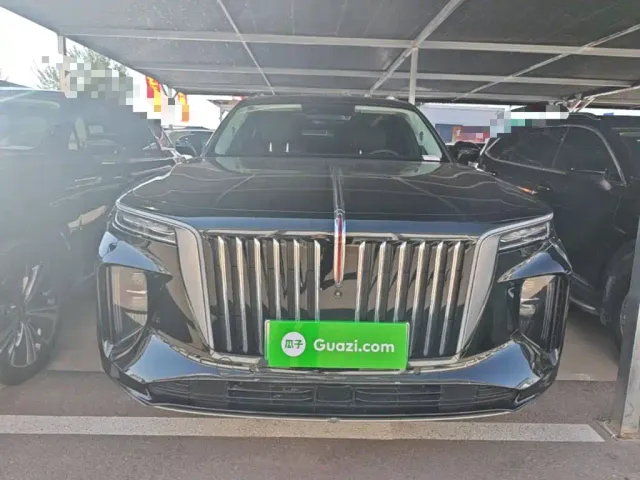 Hongqi E-HS9 — Фото автомобиля 2