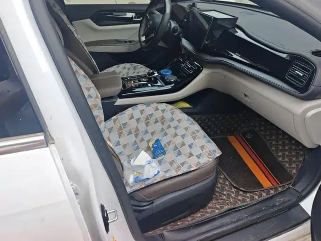 BYD Qin PLUS — Фото автомобиля 8