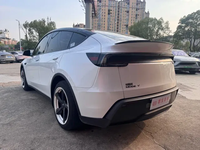 Tesla Model Y — Фото автомобиля 11