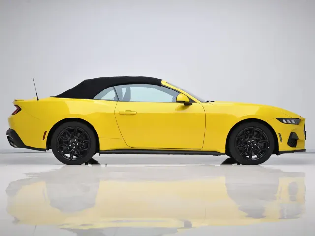 Ford Mustang — Фото автомобиля 8