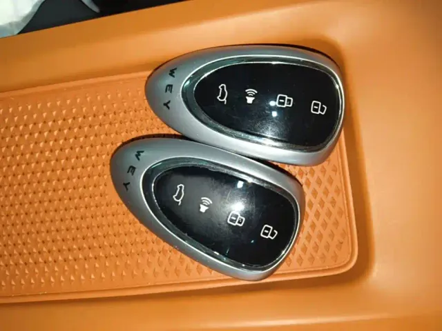 Wey Lanshan — Фото автомобиля 8