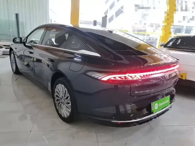 Buick Electra L7 — Фото автомобиля 4