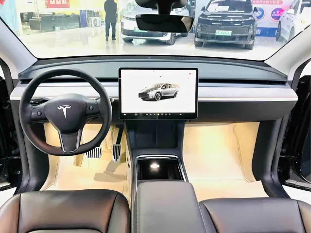 Tesla Model Y — Фото автомобиля 9