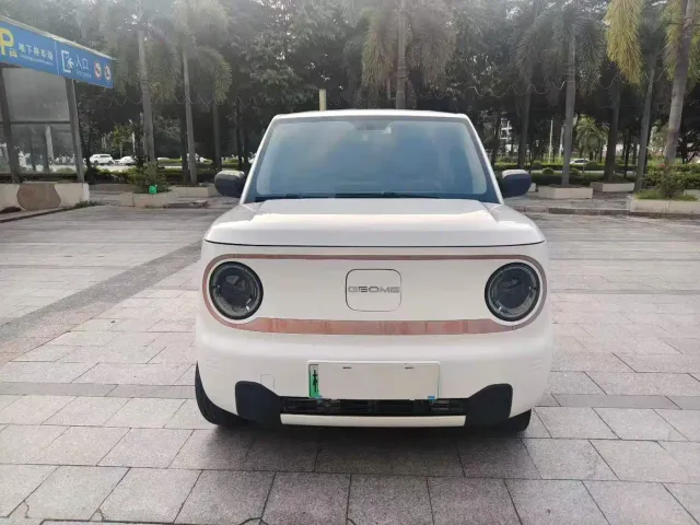 Фотография автомобиля — Geely Panda
