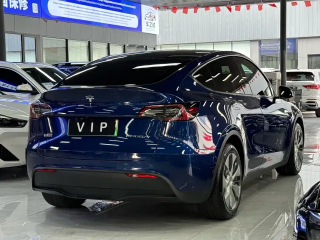 Tesla Model Y — Фото автомобиля 11