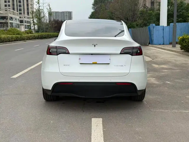 Tesla Model Y — Фото автомобиля 9