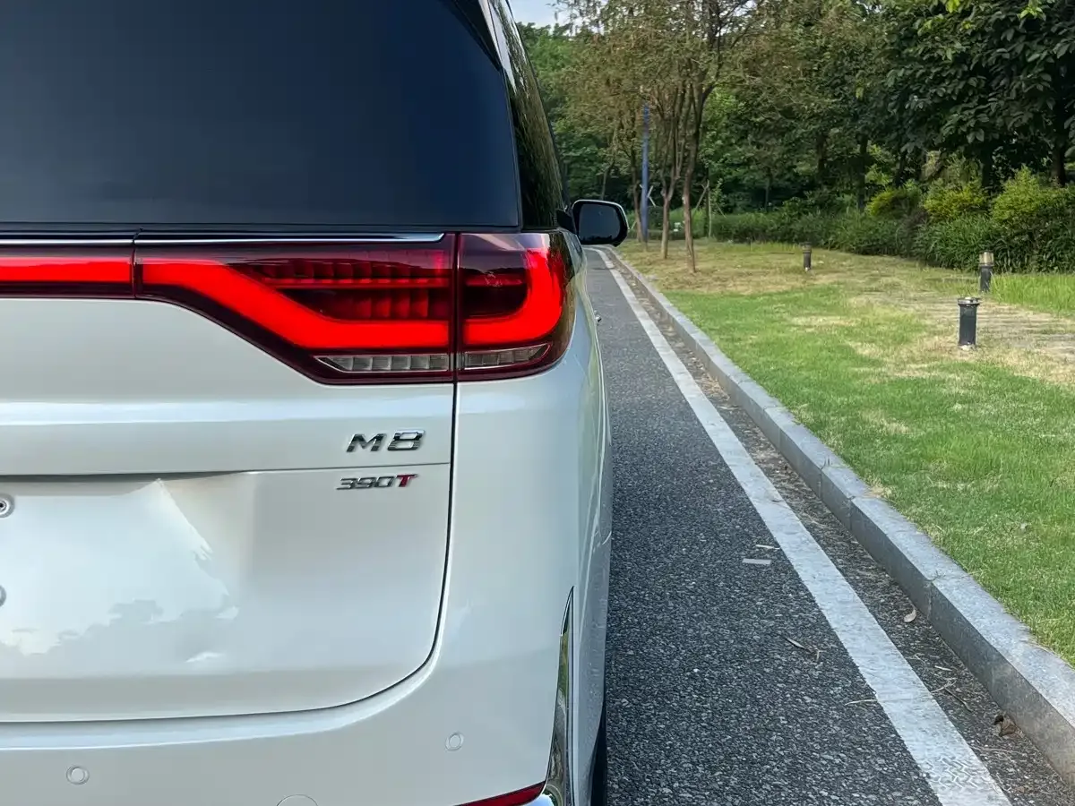 GAC Trumpchi Trumpchi M8 2023 Leading Series 390T Prestige Edition — Фото автомобиля 10