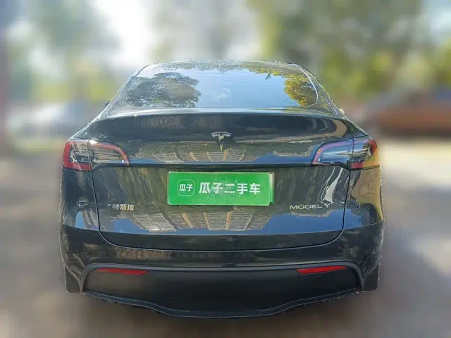 Tesla Model Y — Фото автомобиля 5