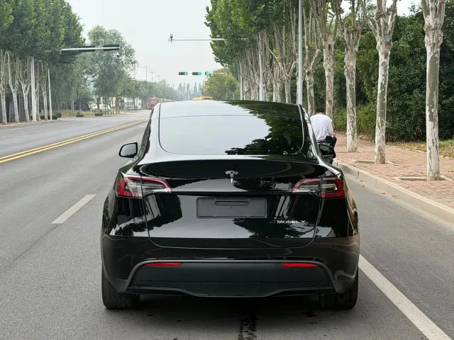 Tesla Model Y — Фото автомобиля 4