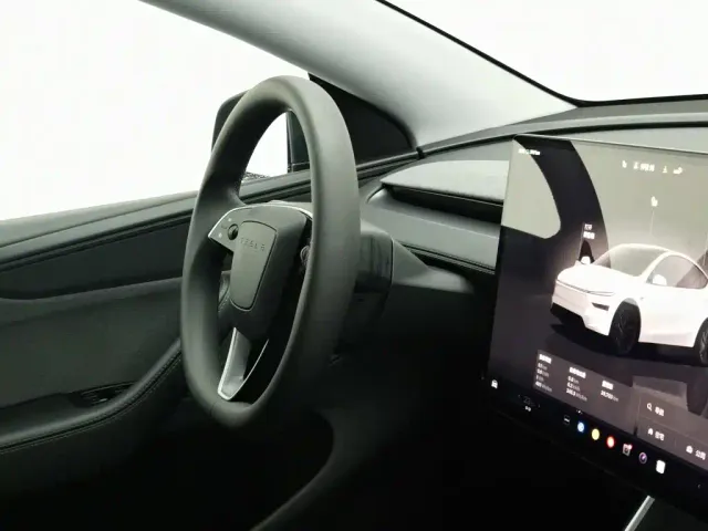 Tesla Model Y — Фото автомобиля 22