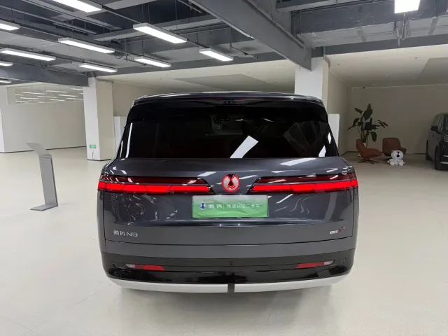 Denza N9 — Фото автомобиля 5