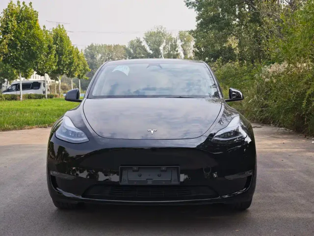 Tesla Model Y — Фото автомобиля 2