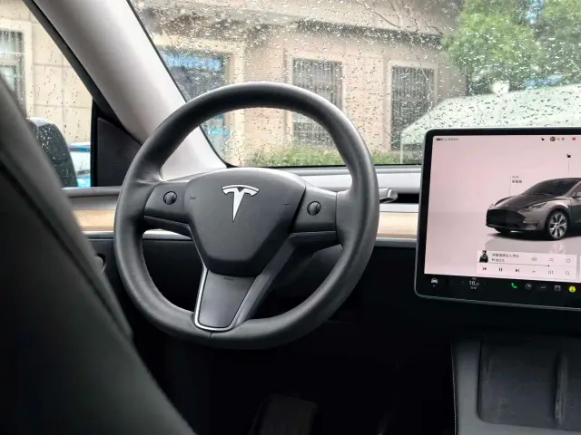 Tesla Model Y — Фото автомобиля 17