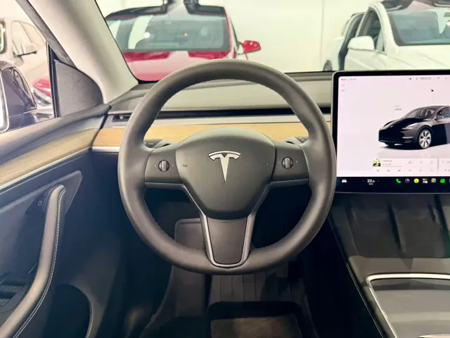 Tesla Model Y — Фото автомобиля 11