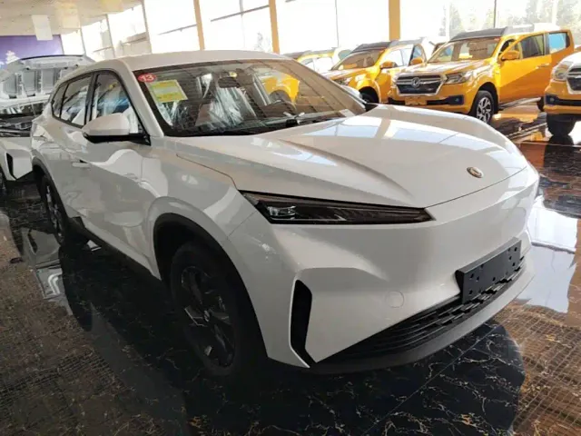 Dongfeng SKY EV01 — Фото автомобиля 3