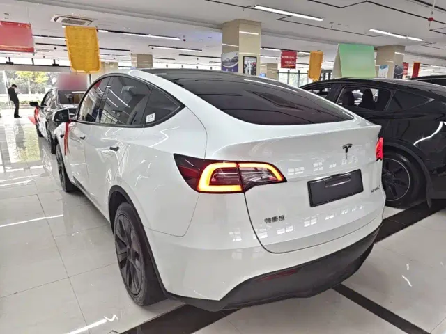 Tesla Model Y — Фото автомобиля 4