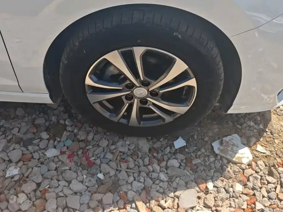 Changan Eado 2022 PLUS Blue Whale NE 1.4T GDI DCT Premium Edition — Фото автомобиля 6