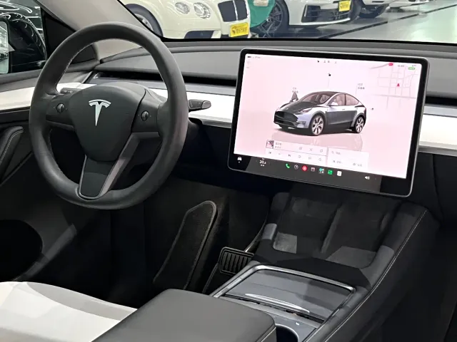Tesla Model Y — Фото автомобиля 7