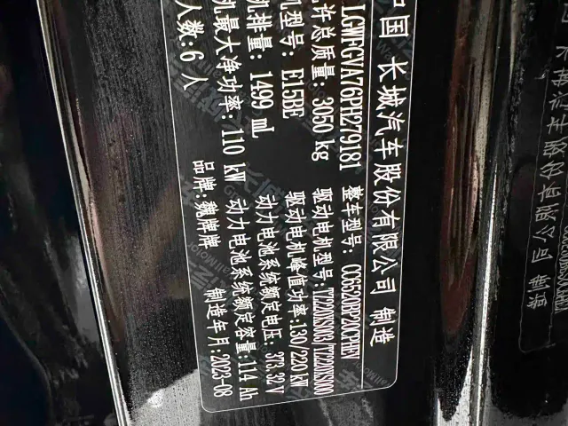 Wey Lanshan — Фото автомобиля 17