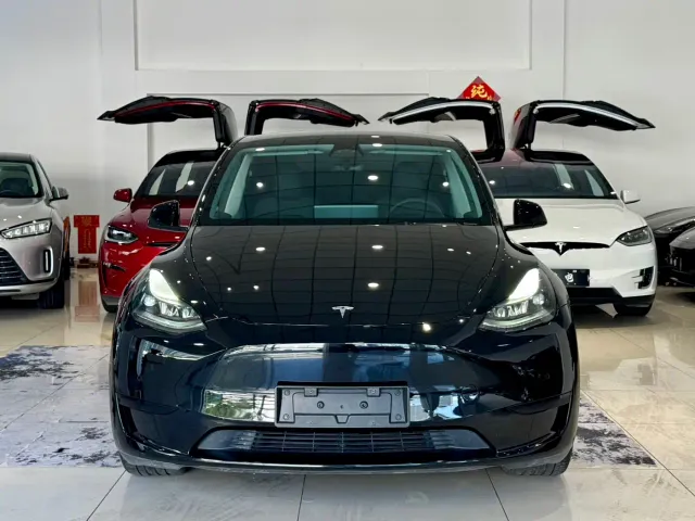 Tesla Model Y — Фото автомобиля 2