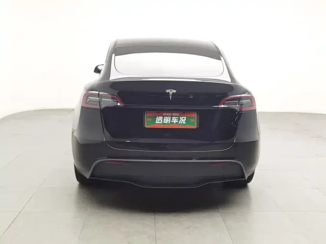 Tesla Model Y — Фото автомобиля 4